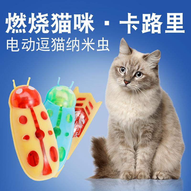 这个真的很好玩猫玩具电动逗猫轨道转盘超爱可躲避障碍老鼠甲虫-图1