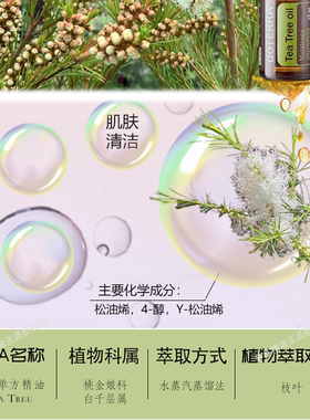 官网正品茶树单方精油多特瑞5年