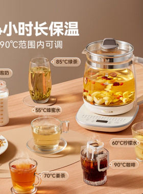 小熊养生壶2026新款2L升大容量