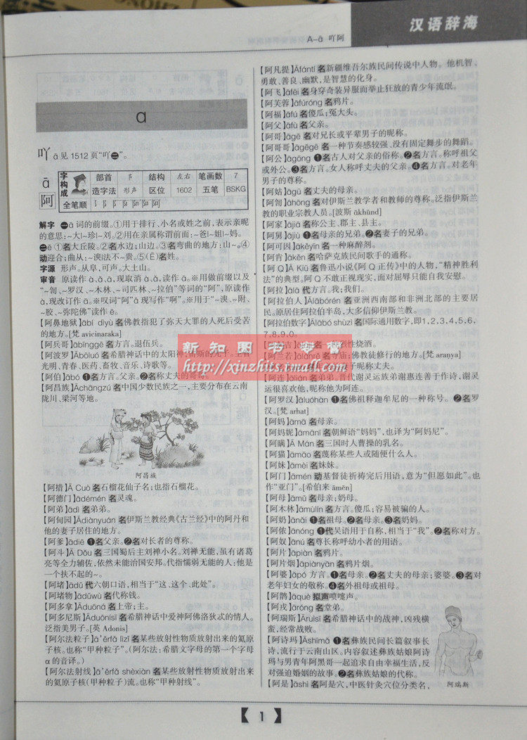 新编汉语辞海 笔顺/结构/五笔/解字/字源/汉译英16开精装上下卷 汉语工具书 正版书 区域包邮