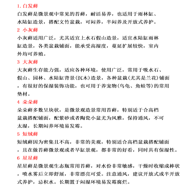 鲜活微景观盆景专用苔藓盆栽铺面四季水陆缸假山草白发藓短绒青苔-图0