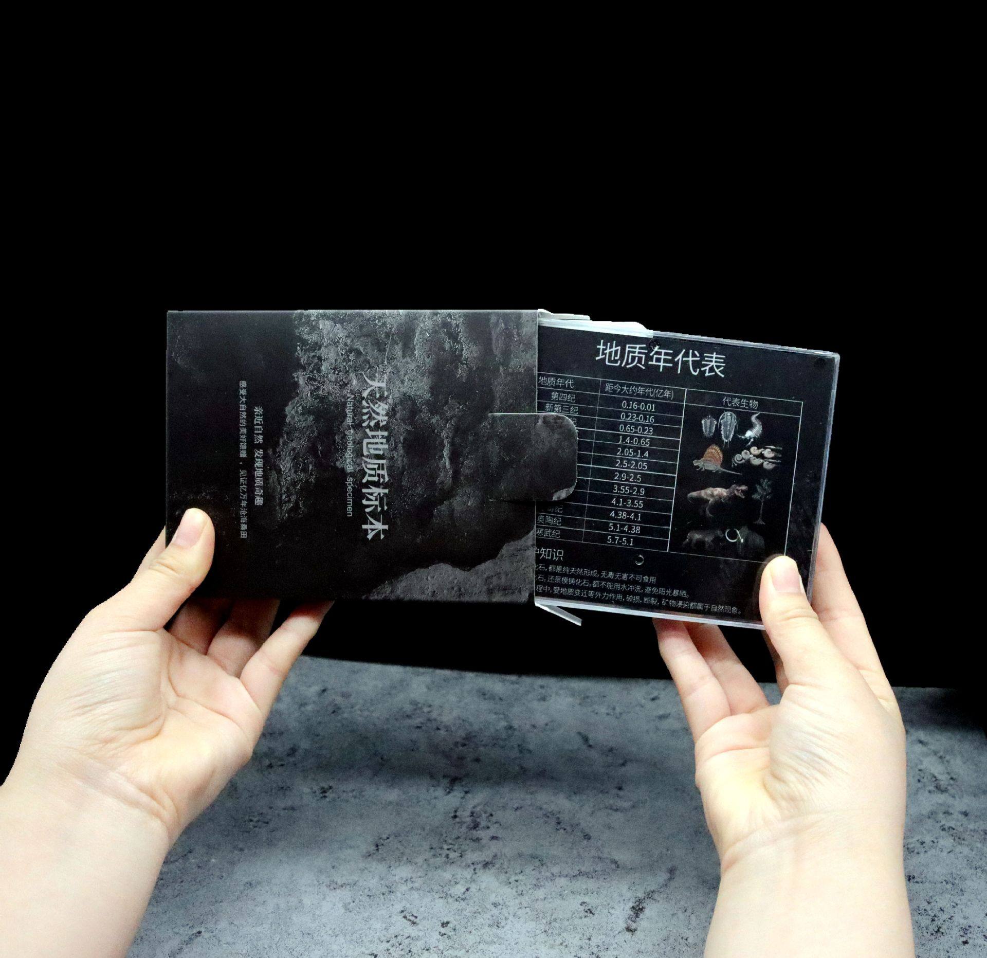 化石矿石陨石牙齿植物狼鳍鱼昆虫古生物化石科普教学标本收藏摆件,淘宝优惠券,粉丝福利购,淘宝优惠卷