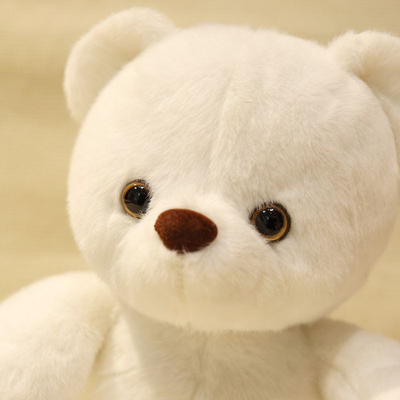 可爱治愈系小熊玩偶公仔熊娃娃熊熊毛绒玩具生日礼物女孩送女朋友-图3