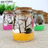 Новый маримо Happy Seawead Ball маленький горшок завода стеклянная стеклян