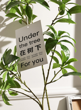 仿真马醉木绿植造景装饰