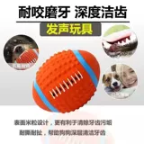 Собачья игрушка мяч вокальный щенок Тедди Тедди граница золотой ретривер Большие собаки моляр, кусая поставки домашних животных щенков