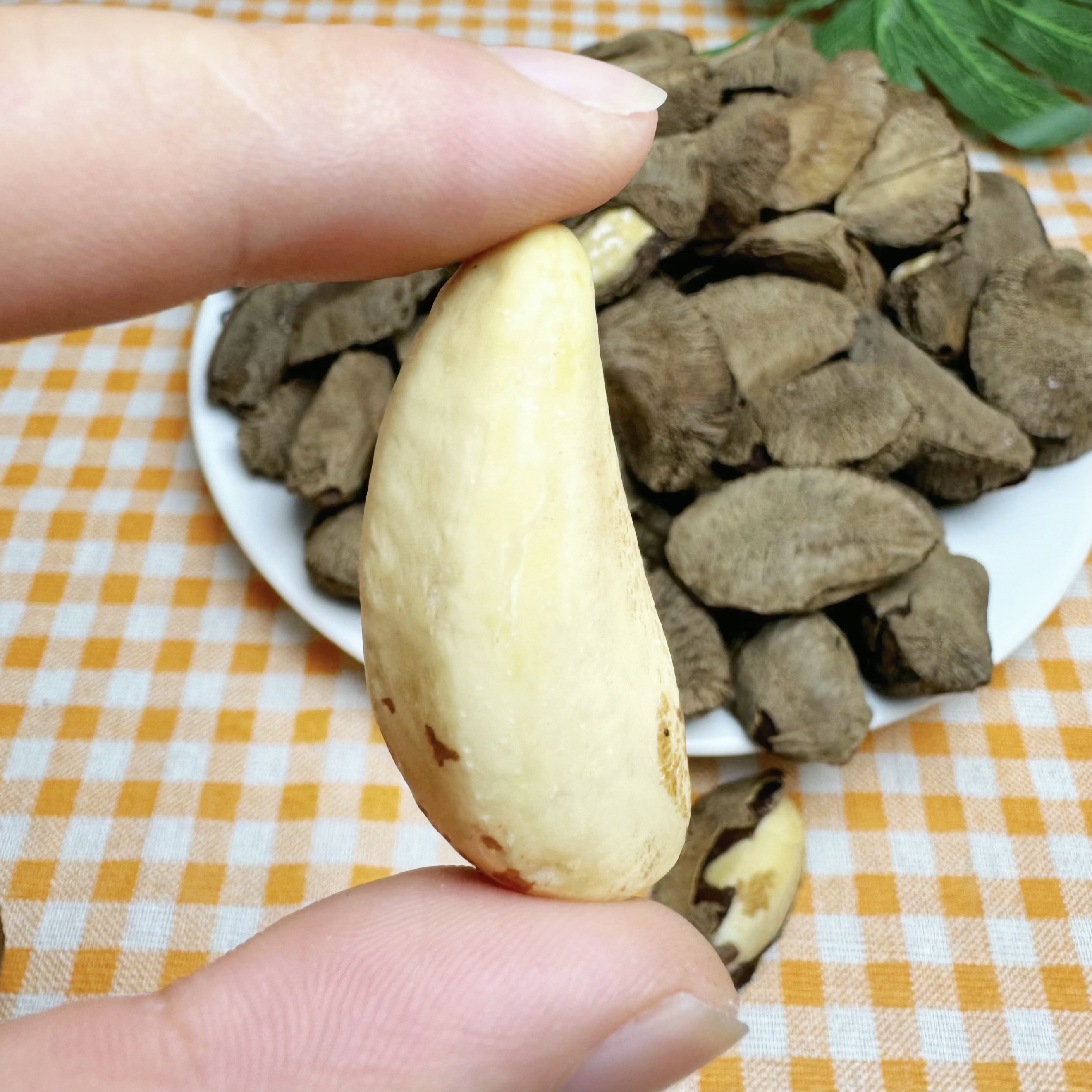 【新货】鲍鱼果新疆特产沙漠果坚果孕妇干果巴西果休闲零食500g - 图2