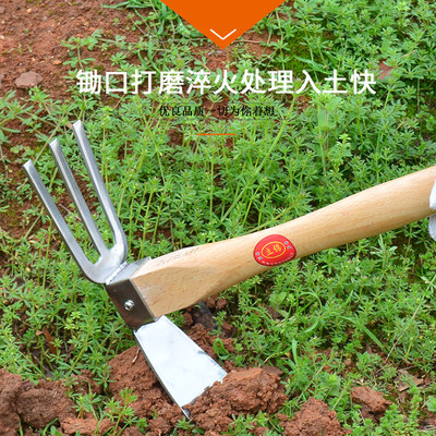家用不锈钢小锄头农具户外种菜除草挖土种花两用锄头小耙子钉耙镐 虎窝淘