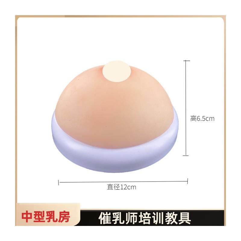 女性乳房模型催乳师培q训道具哺乳教学模型硅胶假乳房医学教具,淘宝优惠券,粉丝福利购,淘宝优惠卷