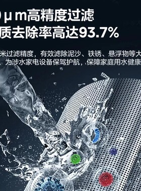 鹏豪源前置过滤器加厚带压力表