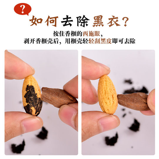 Torreya seeds new arrival Zhuji Fengqiao specialty