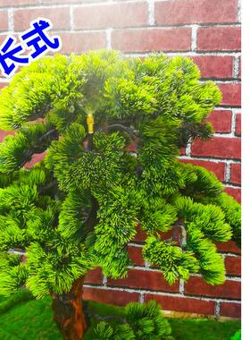 4分外螺牙万向可调喷头自动浇水花园林苗木喷淋微雾灌溉四分喷嘴