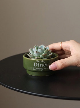 创意陶瓷多肉花盆桌面摆件