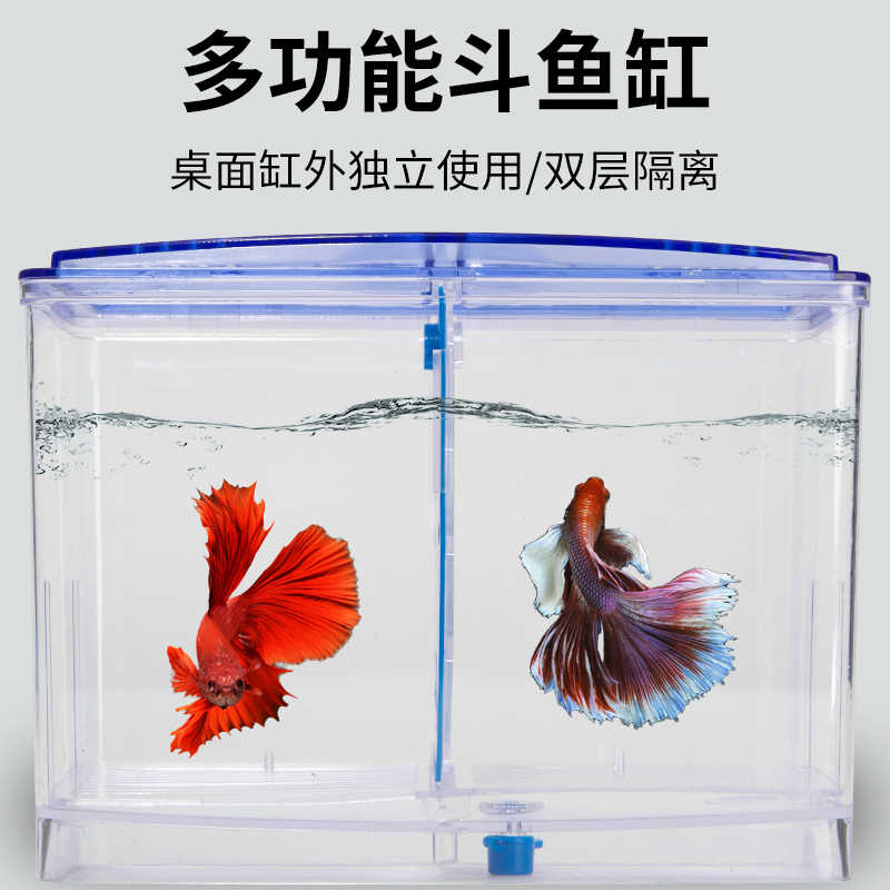 魚缸積木盒 新人首單立減十元 21年9月 淘寶海外 魚缸積木盒 新人首單立減十元 21年9月 淘寶海外