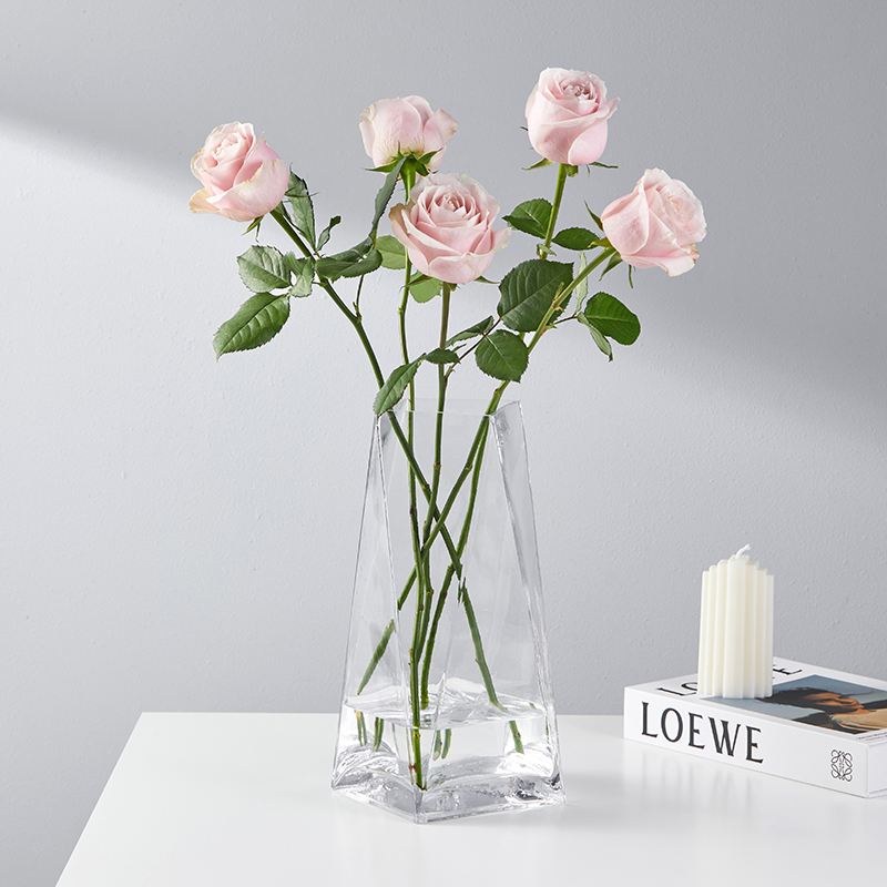 轻奢简约几何创意玻璃花瓶透明水养鲜花玫瑰百合客厅餐桌插花摆件 - 图2