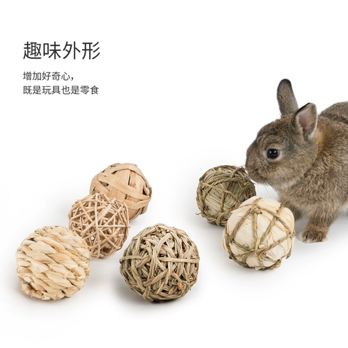 И мы aite кроличьи травяные эскизы игрушки голландская свинья Тоторо Белка естественным образом измельчение зубов закуски