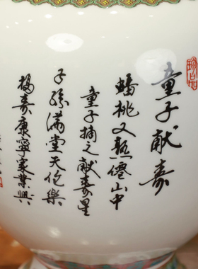 景德镇陶瓷花瓶摆件客厅玄关