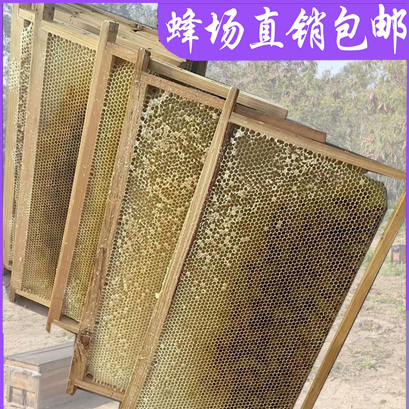 中华蜜蜂用巢脾子脾 空脾无巢虫规格长48.5 中蜂巢脾意标脾笼蜂 - 图0