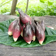 洋荷推荐品牌 新人首单立减十元 21年6月 淘宝海外