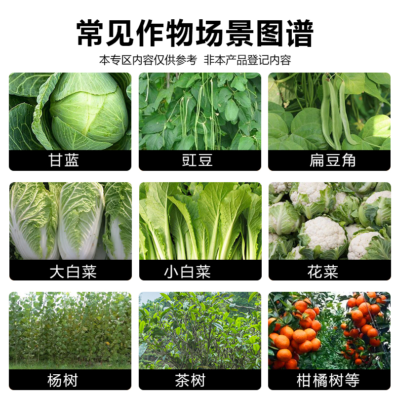 甲维虫螨腈杀虫剂甲维盐虫螨晴甘蓝杀小菜蛾蔬菜甜菜夜蛾杀虫剂 - 图0