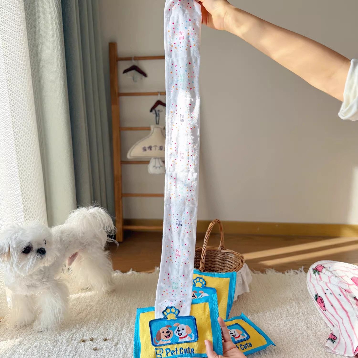 新款宠物玩具狗狗嗅闻训练湿纸巾 耐咬藏食漏食益智训练自嗨玩具,淘宝优惠券,粉丝福利购,淘宝优惠卷