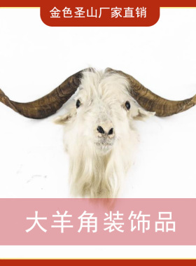 羊头标本蒙古族手工艺品天然羊角真毛头骨装饰品蒙古包墙上挂件