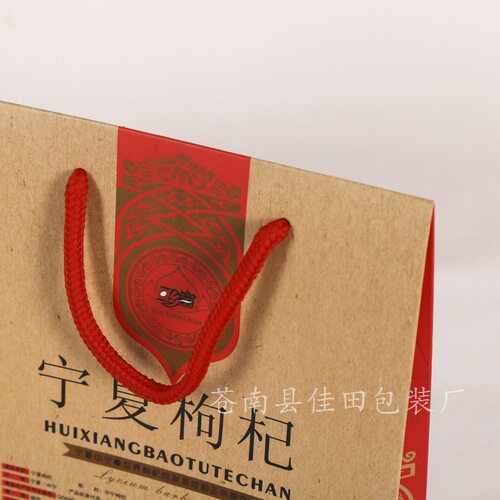 工厂直销纸袋 手提礼品包装袋 加厚彩色广告纸袋 定制印刷 - 图2