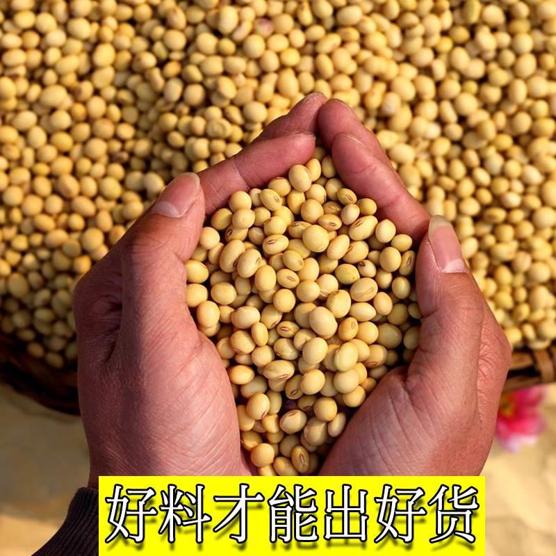 无盐干腐竹干货纯正特产级商用500g豆皮豆制品凉拌菜火锅食材大全 - 图2