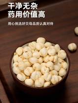 Sichuan Bay Sydney Cough Soup grade Dry small hanging pear soup Old Beijing Tea Commercial Sichuan Herbal Medicine Official Flagship Store