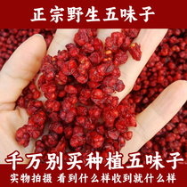 Shizandra Chinese herbal medicine 250 gr-half catty long white Mountain wild North Schisandra Special class Liaoshizandra origin straight hair