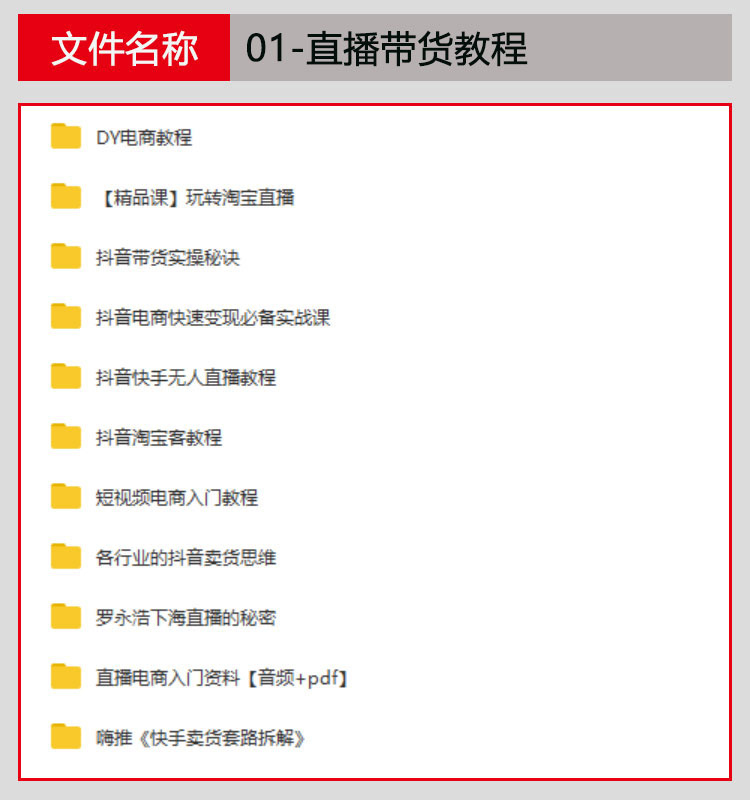 网络直播平台公司经营管理制度运营方案带货主播培训教程话术脚本