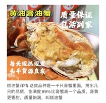 Authentic Fresh Butter Crab Paste Oil Butter Crab Nansha Tai Shan Local Crab Farm Direct Airlift Bag Live Home