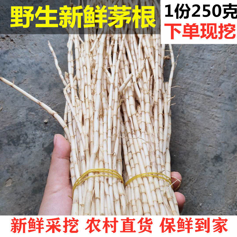 茅根茅草根新鲜野生白茅根毛根天然凉茶食材竹蔗马蹄茅根湿茅草根 云朵农特产 淘优券