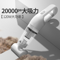 Pet Electric Hair Suction Machine Cat Hair Dog Fur Carpet Bed Hair Cleaner Cat Mucus Wool Cleaning Up Hair Deity