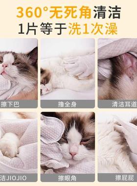 宠物免洗手套猫咪洗澡护理湿巾狗狗除臭清洁擦脚干洗用品神器动物