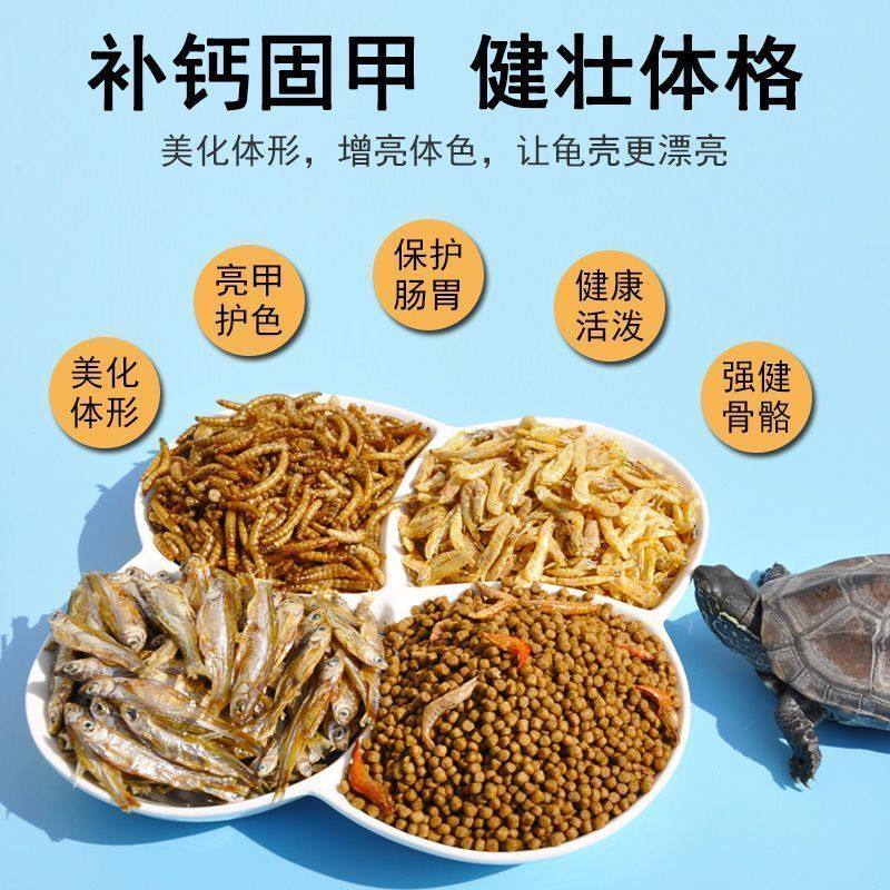 龟粮乌龟饲料巴西龟鳄龟水龟草龟小乌龟专用粮幼龟粮鱼干虾干粮食,淘宝优惠券,粉丝福利购,淘宝优惠卷