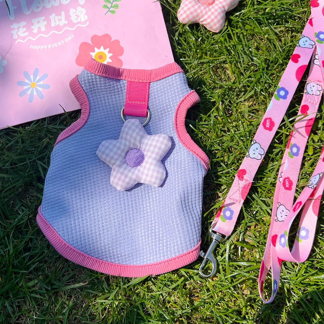 Rabbit Clothes Summer New Style Dwarf Rabbit Lop Rabbit