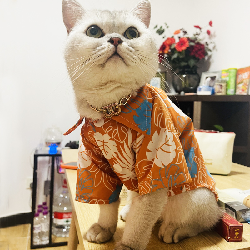 猫咪衣服夏季薄款衬衫空调服防掉毛布偶蓝猫英短金渐层幼猫服饰潮 - 图0