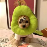 Элизабет Круг ПЭТ повязка на голову кошка стерилизация анти-ликова