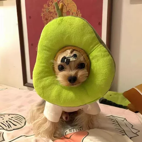 Элизабет Круг ПЭТ повязка на голову кошка стерилизация анти-ликова