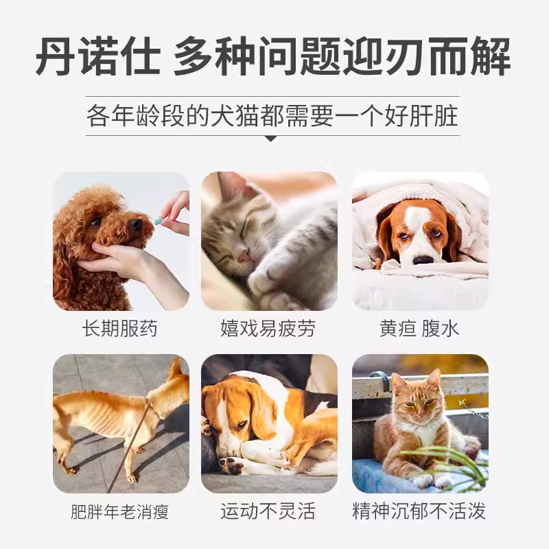 丹诺仕护肝片Denosyl 丹诺士宠物猫咪护肝药狗狗黄疸腹水肝病补血 - 图1