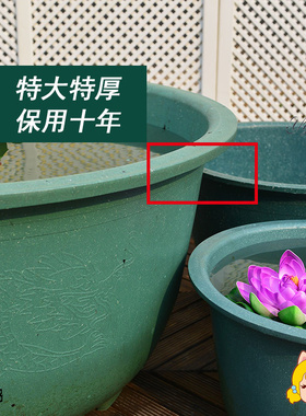荷花盆睡莲大无孔圆形加厚塑料