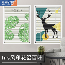 Printed blinds shade Nordic wind shading lifting roller shutters Kitchen Make-up Room Aluminum Alloy Toilet Home Free of punch