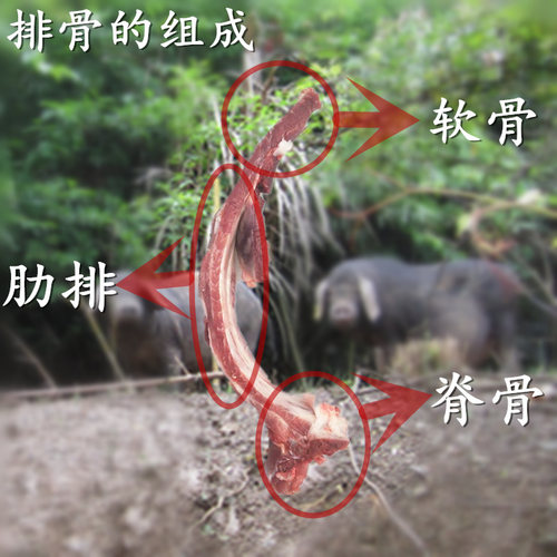 4斤装 农家土猪排骨肋排子排大块猪排骨脊骨软骨新鲜现杀包邮顺丰_虎窝淘