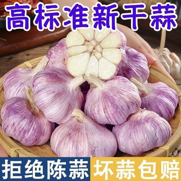 【万人抢购】山东新蒜新干大蒜新鲜大蒜头批发紫皮白皮大蒜批发 - 图1