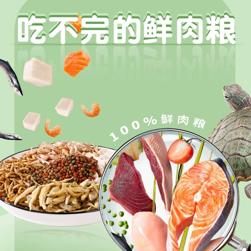 Кратковая маленькая черепаха пища бразильская черепаха с открытой кормовой коркодил черепах общая пищевая добавка кальция с высоким содержанием белковой черепахи закуски