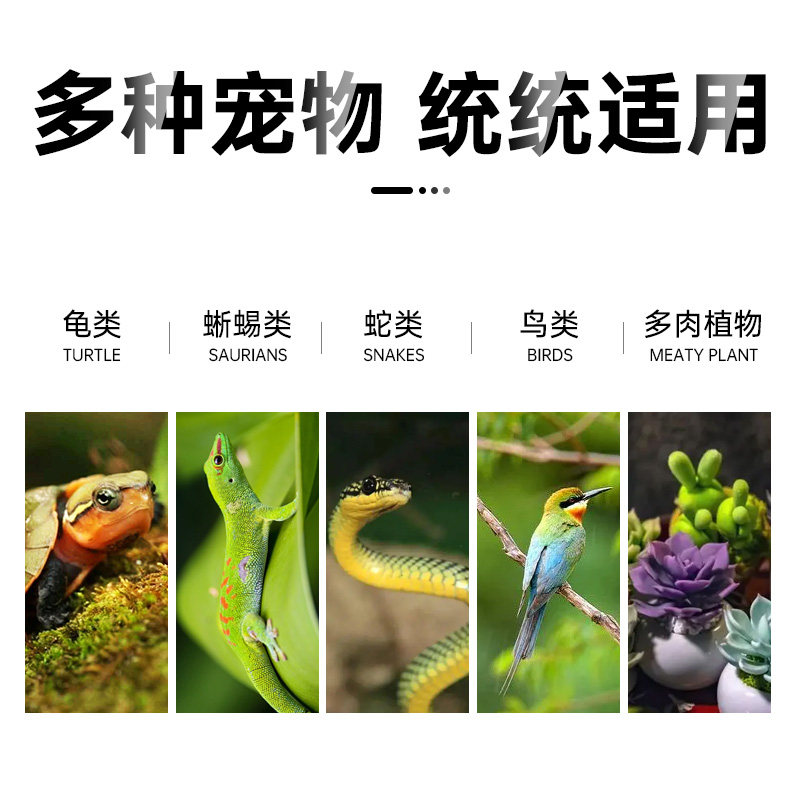 乌龟晒背灯加热保温灯太阳灯爬宠加热龟缸灯加温取暖用带灯泡,淘宝优惠券,粉丝福利购,淘宝优惠卷