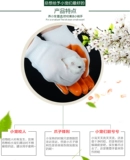 Анти -битные перчатки и хомяк должны иметь ежедневные потребности