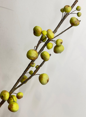 婚庆装饰假花仿真浆果造景蓝莓