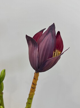 仿真香蕉花绿植手感高端花材插花造景道具创意摆件消除焦虑无烦恼